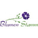 (c) Blumen-stamm-solingen.de